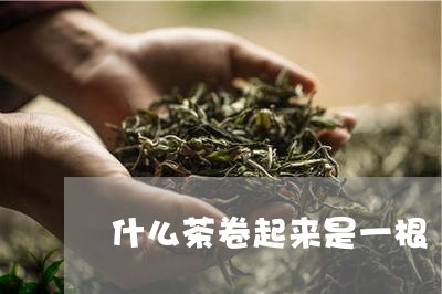 什么茶卷起来是一根/2023041579404