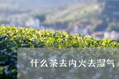 什么茶去内火去湿气/2023031909483