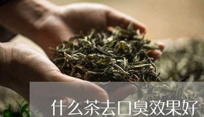 什么茶去口臭效果好/2023041529581