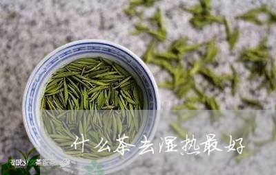 什么茶去湿热最好/2023032317473