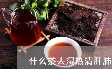 什么茶去湿热清肝肺/2023041565371