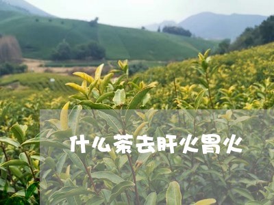 什么茶去肝火胃火/2023032367269