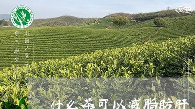 什么茶可以减脂肪肝/2023041518379