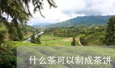 什么茶可以制成茶饼/2023041681485