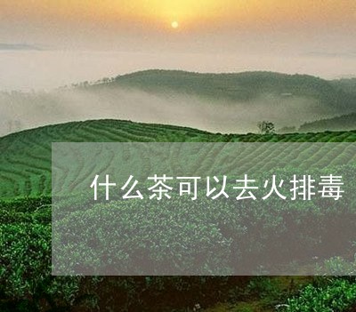 什么茶可以去火排毒/2023031981725