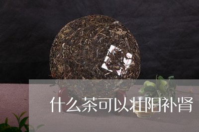 什么茶可以壮阳补肾/2023041514282