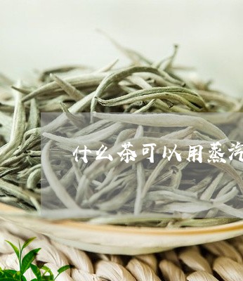 什么茶可以用蒸汽煮/2023041508472