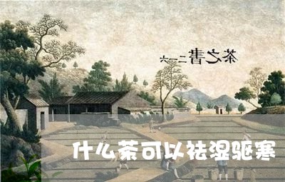 什么茶可以祛湿驱寒/2023041505049