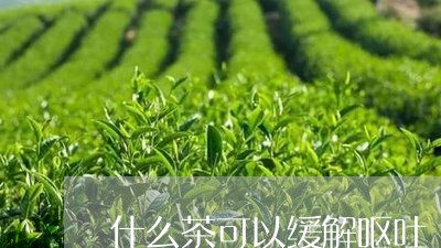 什么茶可以缓解呕吐/2023031940593