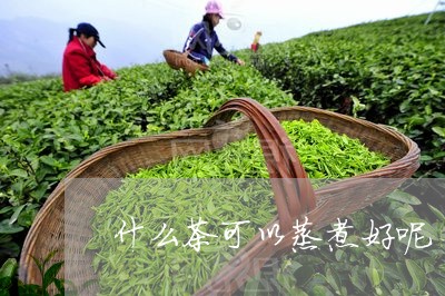 什么茶可以蒸煮好呢/2023041593858