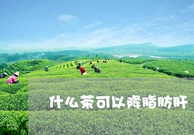 什么茶可以降脂肪肝/2023041586151