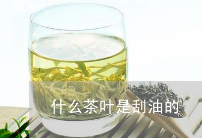 什么茶叶是刮油的/2023032701692