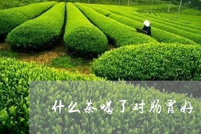 什么茶喝了对肠胃好/2023031942793