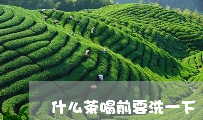 什么茶喝前要洗一下/2023031904945