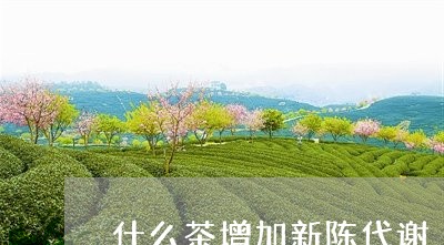 什么茶增加新陈代谢/2023031977281