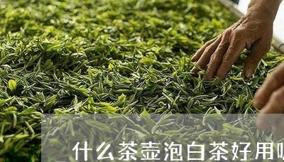 什么茶壶泡白茶好用呢/2023033183706