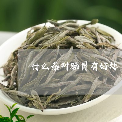 什么茶对肠胃有好处/2023032079807