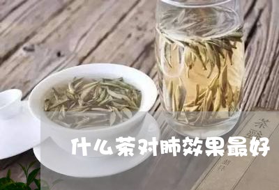 什么茶对肺效果最好/2023031987241