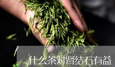 什么茶对肾结石有益/2023041504947