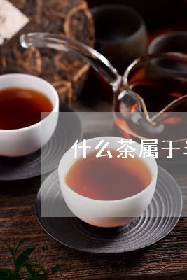 什么茶属于半发酵类/2023031995036