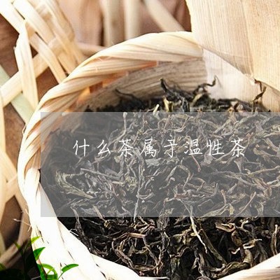 什么茶属于温性茶/2023032313945