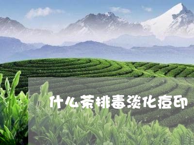 什么茶排毒淡化痘印/2023031937691