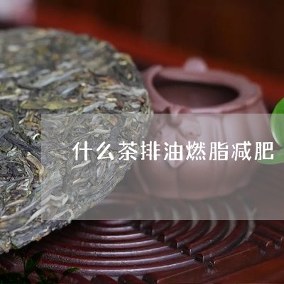 什么茶排油燃脂减肥/2023041649603