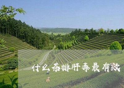 什么茶排肝毒最有效/2023041595169