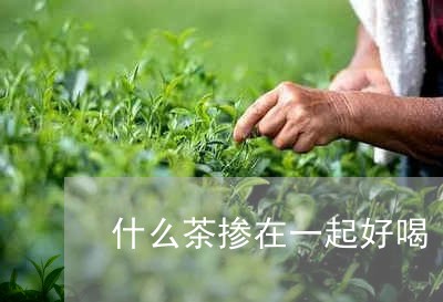 什么茶掺在一起好喝/2023031961693