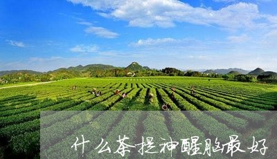 什么茶提神醒脑最好/2023041527179