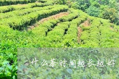 什么茶时间越长越好/2023041540715