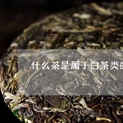 什么茶是属于白茶类的药物/2023033133926