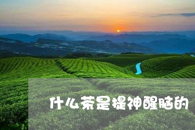 什么茶是提神醒脑的/2023031961583