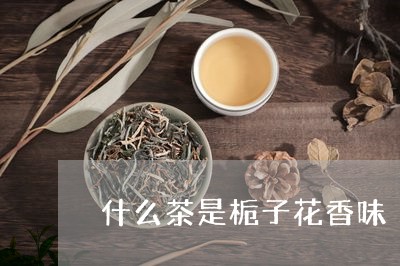 什么茶是栀子花香味/2023041506269