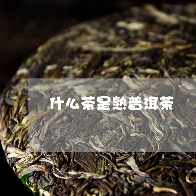 什么茶是熟普洱茶/2023031670492