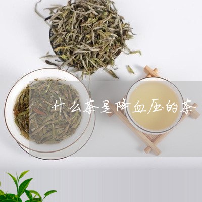 什么茶是降血压的茶/2023041536259