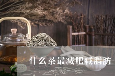 什么茶最减肥减脂肪/2023041506169