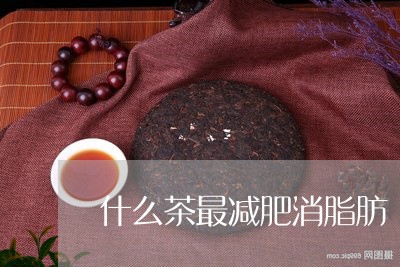 什么茶最减肥消脂肪/2023041562906