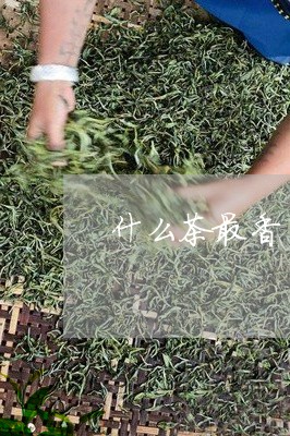 什么茶最香口感最好/2023031916269