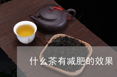 什么茶有减肥的效果/2023041595057