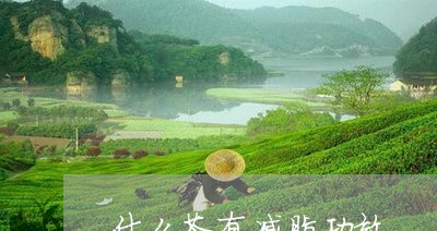 什么茶有减脂功效/2023032250695