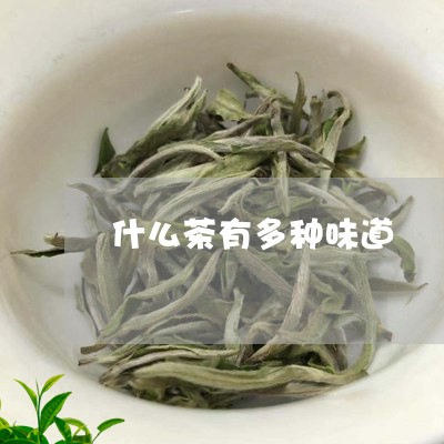 什么茶有多种味道/2023032238571