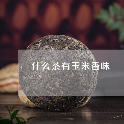 什么茶有玉米香味/2023032272625