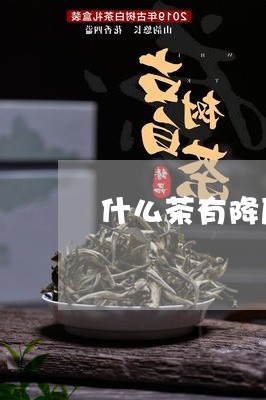 什么茶有降压作用/2023032262625