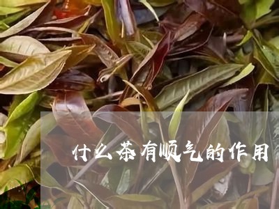 什么茶有顺气的作用/2023032036250