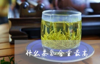 什么茶氟含量最高/2023032378581