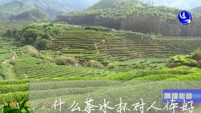 什么茶水杯对人体好/2023041581581