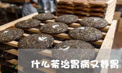 什么茶治胃病又养胃/2023041501516