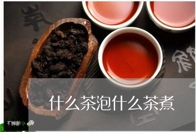 什么茶泡什么茶煮/2023032345969