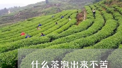 什么茶泡出来不苦/2023032343714